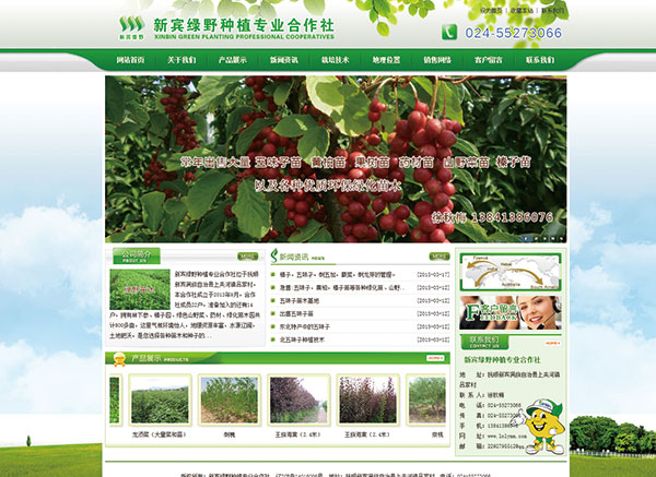 新賓綠野種植專業合作社